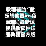 教程辅助“微乐辅助器ios免费版”最新透视辅助软件详细教程官方版下载-第2张图片