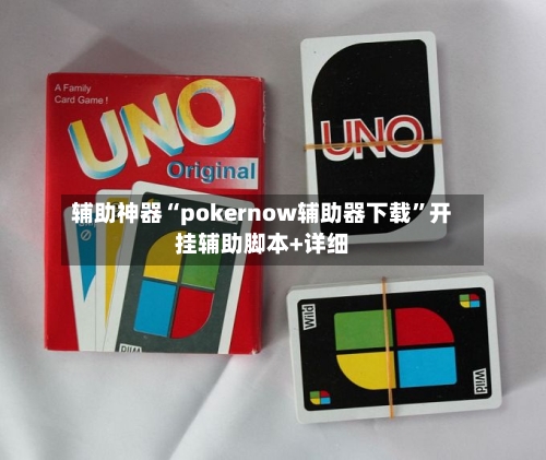 辅助神器“pokernow辅助器下载”开挂辅助脚本+详细-第2张图片
