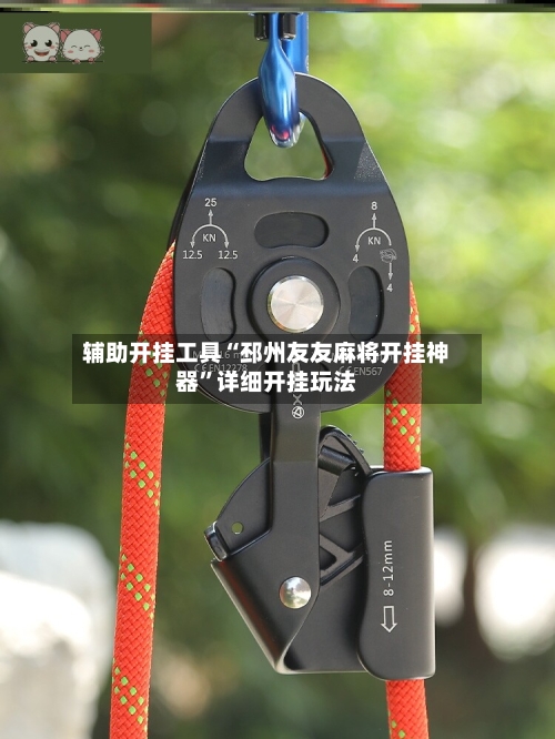 辅助开挂工具“邳州友友麻将开挂神器”详细开挂玩法-第3张图片