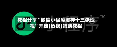 教程分享“微信小程序财神十三张透视”开挂(透视)辅助教程-第1张图片