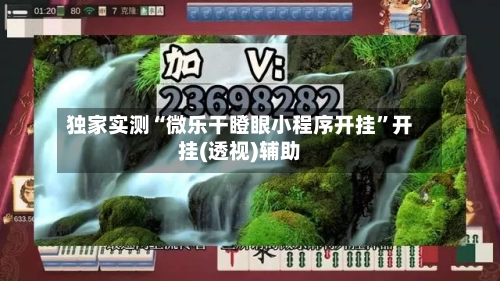 独家实测“微乐干瞪眼小程序开挂”开挂(透视)辅助-第3张图片