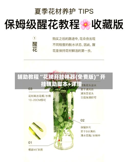 辅助教程“花牌开挂神器(免费版)	”开挂辅助脚本+详细-第2张图片