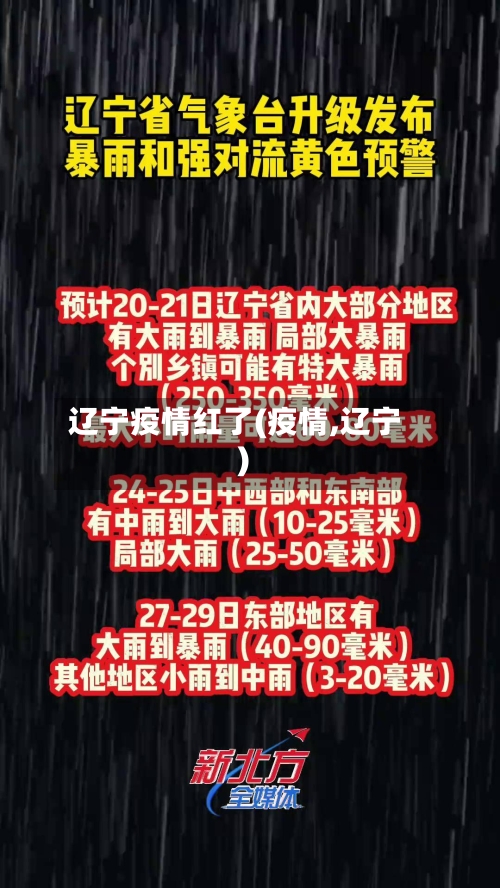 辽宁疫情红了(疫情,辽宁)-第2张图片