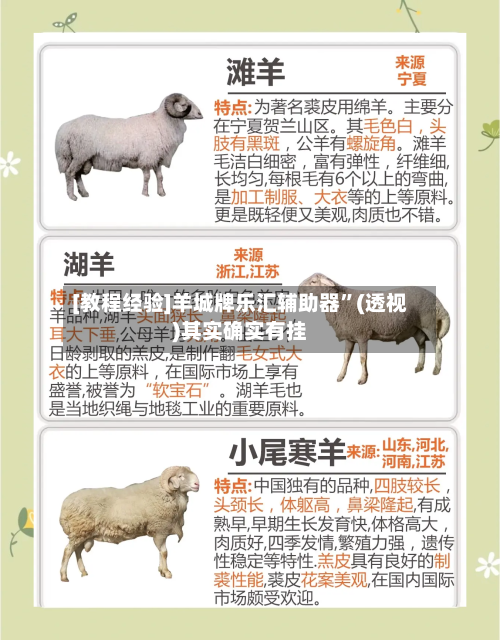 [教程经验]羊城牌乐汇辅助器	”(透视)其实确实有挂-第3张图片