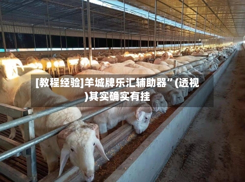 [教程经验]羊城牌乐汇辅助器”(透视)其实确实有挂-第2张图片