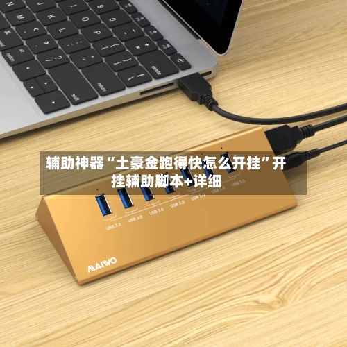 辅助神器“土豪金跑得快怎么开挂	”开挂辅助脚本+详细-第3张图片