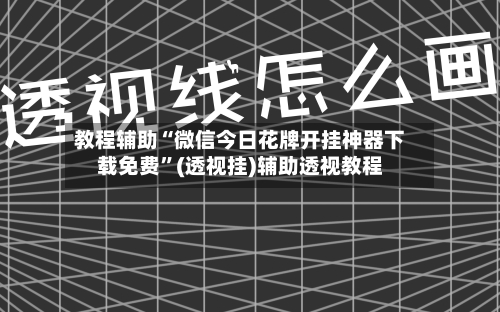 教程辅助“微信今日花牌开挂神器下载免费”(透视挂)辅助透视教程-第2张图片