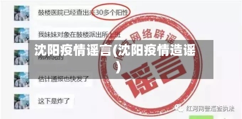 沈阳疫情谣言(沈阳疫情造谣)-第2张图片