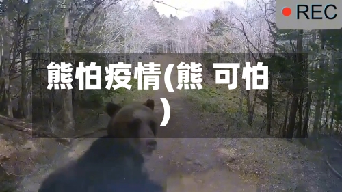 熊怕疫情(熊 可怕)-第1张图片