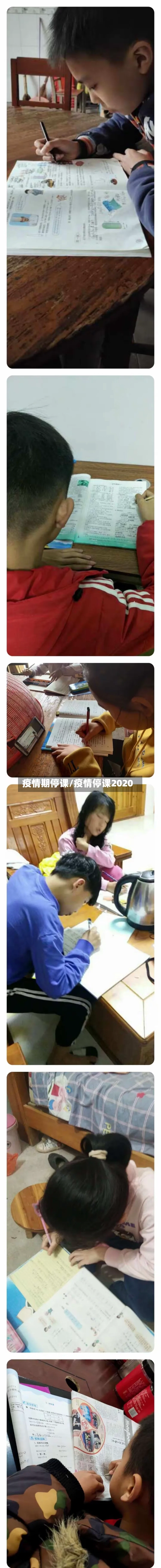 疫情期停课/疫情停课2020-第2张图片