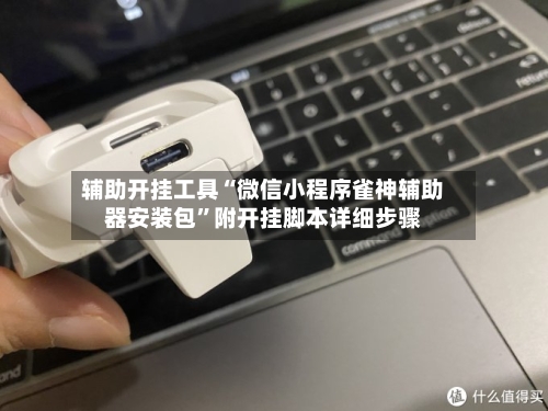 辅助开挂工具“微信小程序雀神辅助器安装包	”附开挂脚本详细步骤-第3张图片