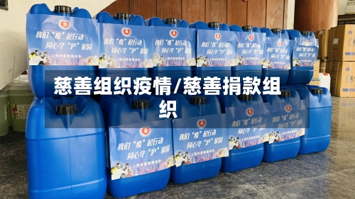 慈善组织疫情/慈善捐款组织-第2张图片