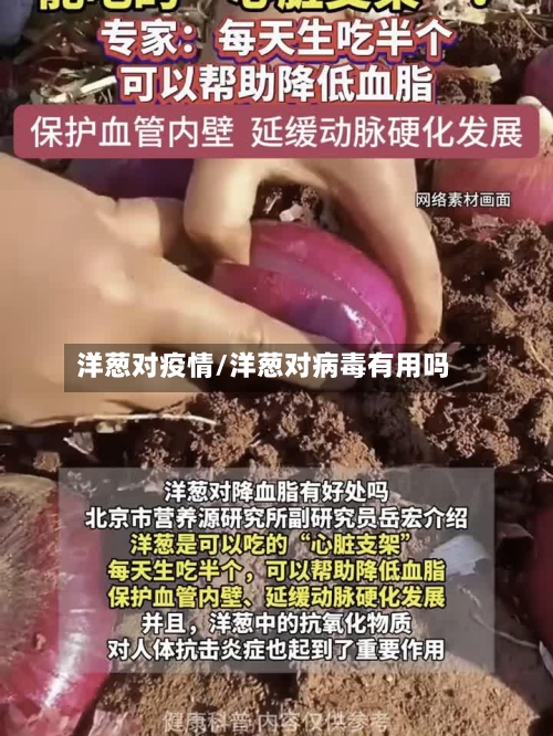 洋葱对疫情/洋葱对病毒有用吗
