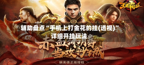 辅助盘点“手机上打金花的挂(透视)”详细开挂玩法-第3张图片