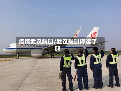 疫情武汉航班/武汉航班停运了吗-第1张图片