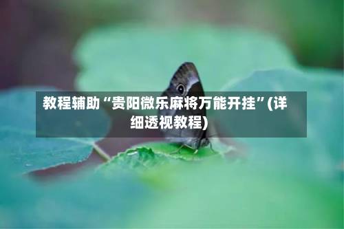 教程辅助“贵阳微乐麻将万能开挂”(详细透视教程)-第2张图片