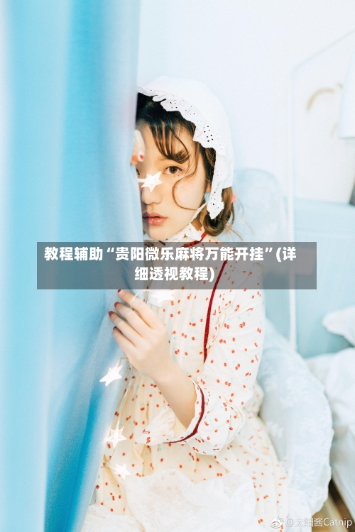 教程辅助“贵阳微乐麻将万能开挂”(详细透视教程)-第3张图片