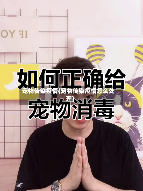宠物传染疫情(宠物传染疫情怎么处理)-第1张图片