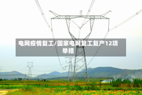 电网疫情复工/国家电网复工复产12项举措-第2张图片