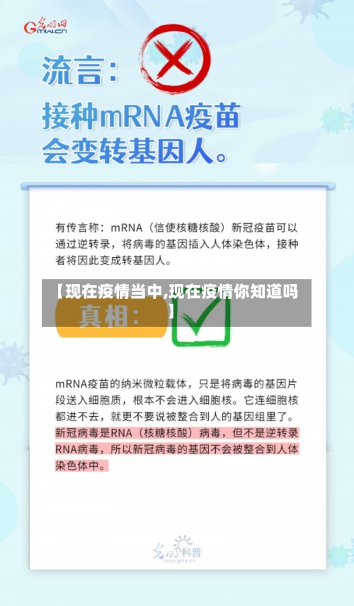 【现在疫情当中,现在疫情你知道吗】-第1张图片