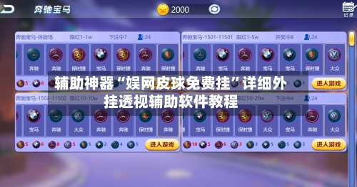 辅助神器“娱网皮球免费挂	”详细外挂透视辅助软件教程-第3张图片