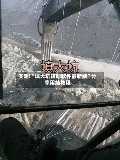 实测!“填大坑辅助软件最新版”分享用挂教程