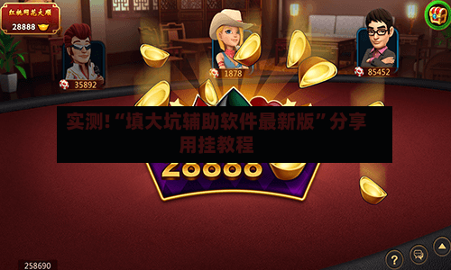 实测!“填大坑辅助软件最新版”分享用挂教程-第3张图片