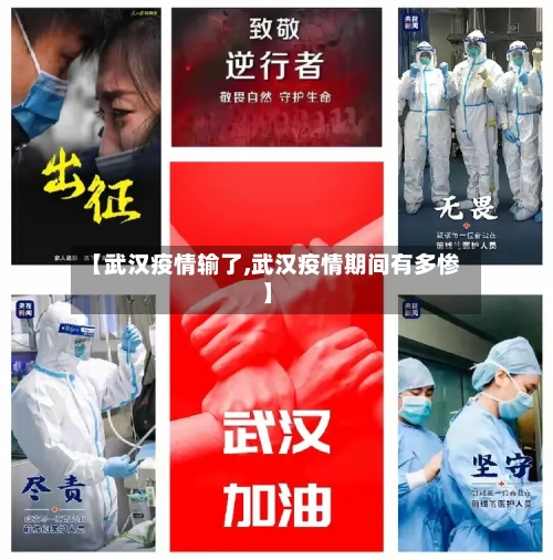 【武汉疫情输了,武汉疫情期间有多惨】-第3张图片