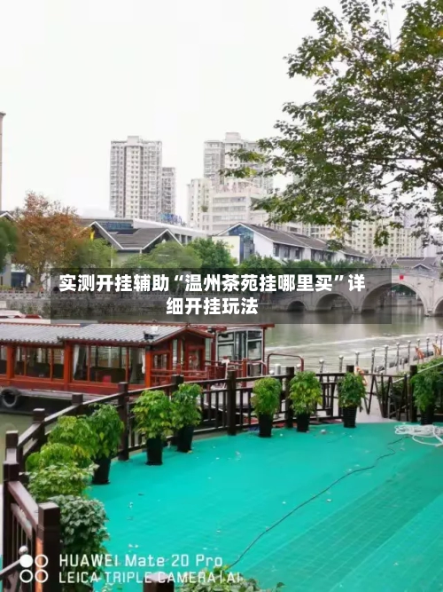实测开挂辅助“温州茶苑挂哪里买	”详细开挂玩法-第1张图片