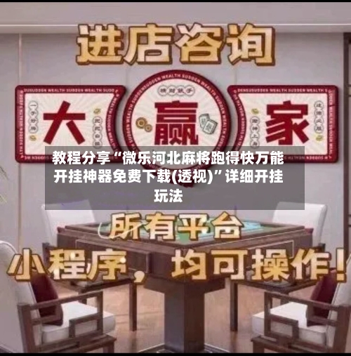 教程分享“微乐河北麻将跑得快万能开挂神器免费下载(透视)	”详细开挂玩法-第2张图片