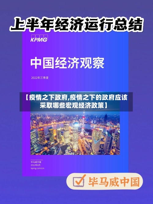 【疫情之下政府,疫情之下的政府应该采取哪些宏观经济政策】