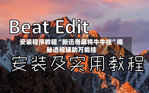 安装程序教程“新迅奇麻将牛牛挂”揭秘透视辅助万能挂-第2张图片