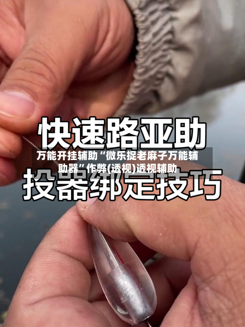 万能开挂辅助“微乐捉老麻子万能辅助器	”作弊(透视)透视辅助-第1张图片