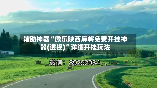 辅助神器“微乐陕西麻将免费开挂神器(透视)”详细开挂玩法-第2张图片