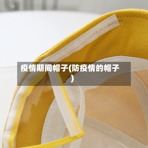 疫情期间帽子(防疫情的帽子)-第2张图片