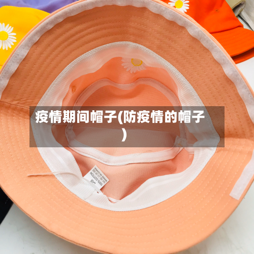 疫情期间帽子(防疫情的帽子)-第3张图片