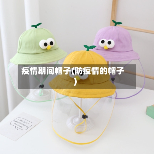 疫情期间帽子(防疫情的帽子)-第1张图片