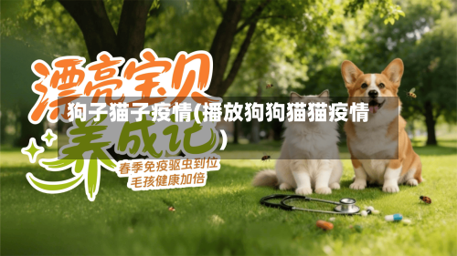 狗子猫子疫情(播放狗狗猫猫疫情)-第1张图片