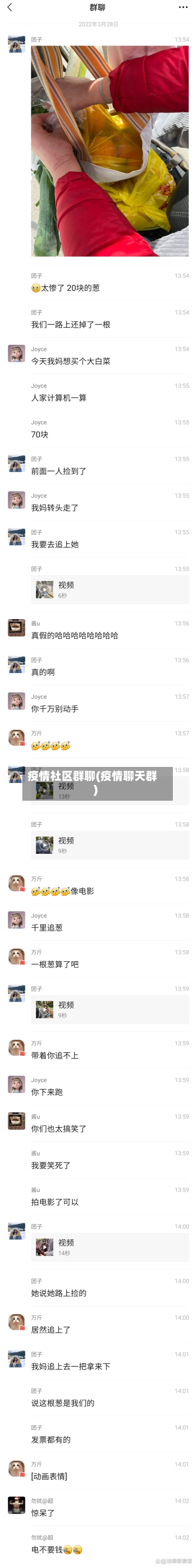 疫情社区群聊(疫情聊天群)-第1张图片