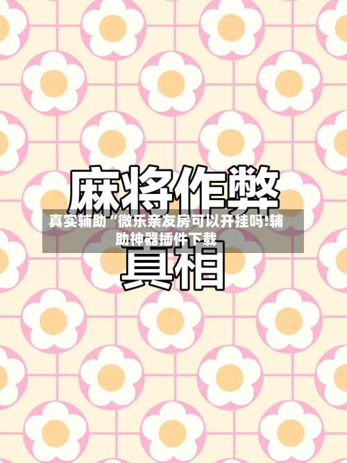 真实辅助“微乐亲友房可以开挂吗!辅助神器插件下载-第3张图片