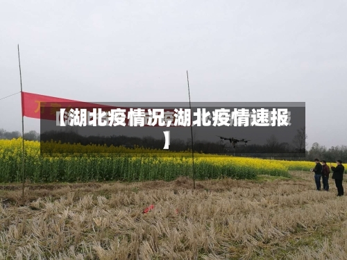 【湖北疫情况,湖北疫情速报】-第2张图片