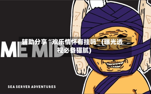 辅助分享“欢乐情怀有挂吗”(曝光透视必备猫腻)-第3张图片