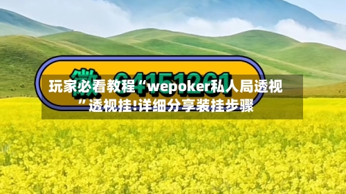 玩家必看教程“wepoker私人局透视”透视挂!详细分享装挂步骤-第1张图片