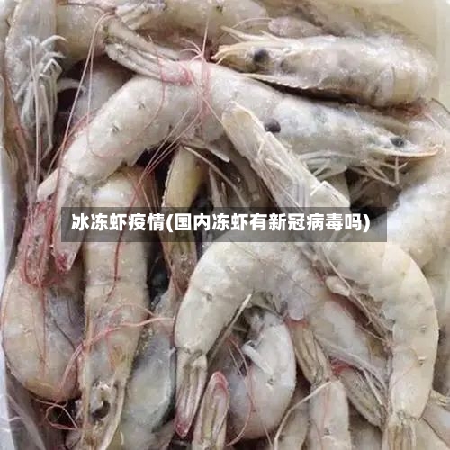 冰冻虾疫情(国内冻虾有新冠病毒吗)
