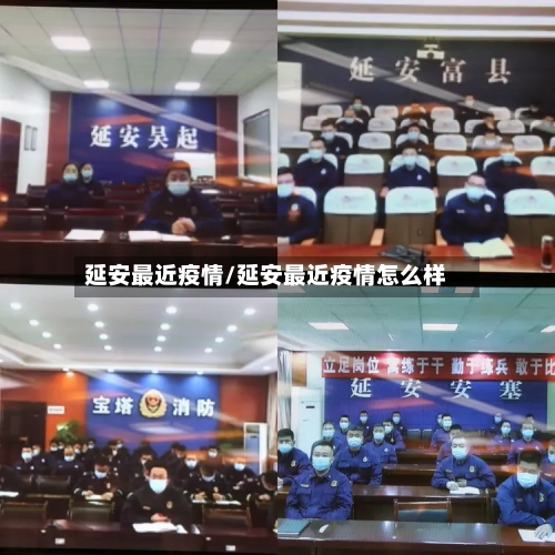 延安最近疫情/延安最近疫情怎么样-第3张图片