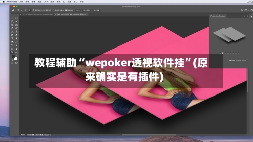 教程辅助“wepoker透视软件挂”(原来确实是有插件)-第1张图片