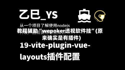 教程辅助“wepoker透视软件挂	”(原来确实是有插件)-第2张图片