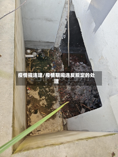 疫情搞违建/疫情期间违反规定的处理-第2张图片