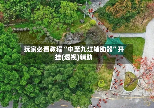 玩家必看教程“中至九江辅助器	”开挂(透视)辅助-第2张图片