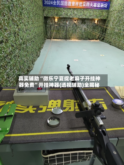 真实辅助“微乐宁夏捉老麻子开挂神器免费	”开挂神器{透视辅助}全揭秘-第2张图片